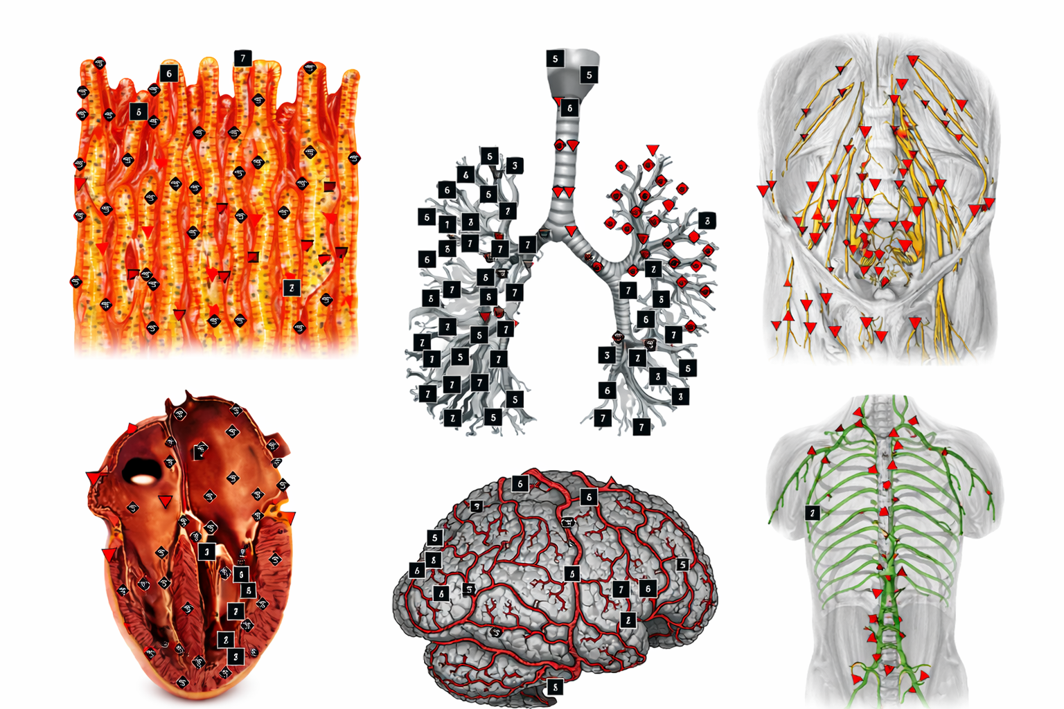 ChatGPT Image 22. 2. 2026 10_26_27